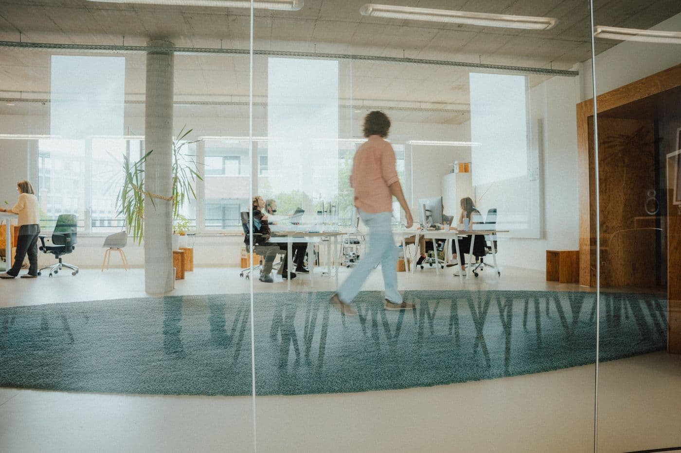 Buero Konstanz formigas